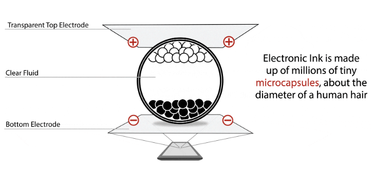 1718158464465.png 1718158464465.png