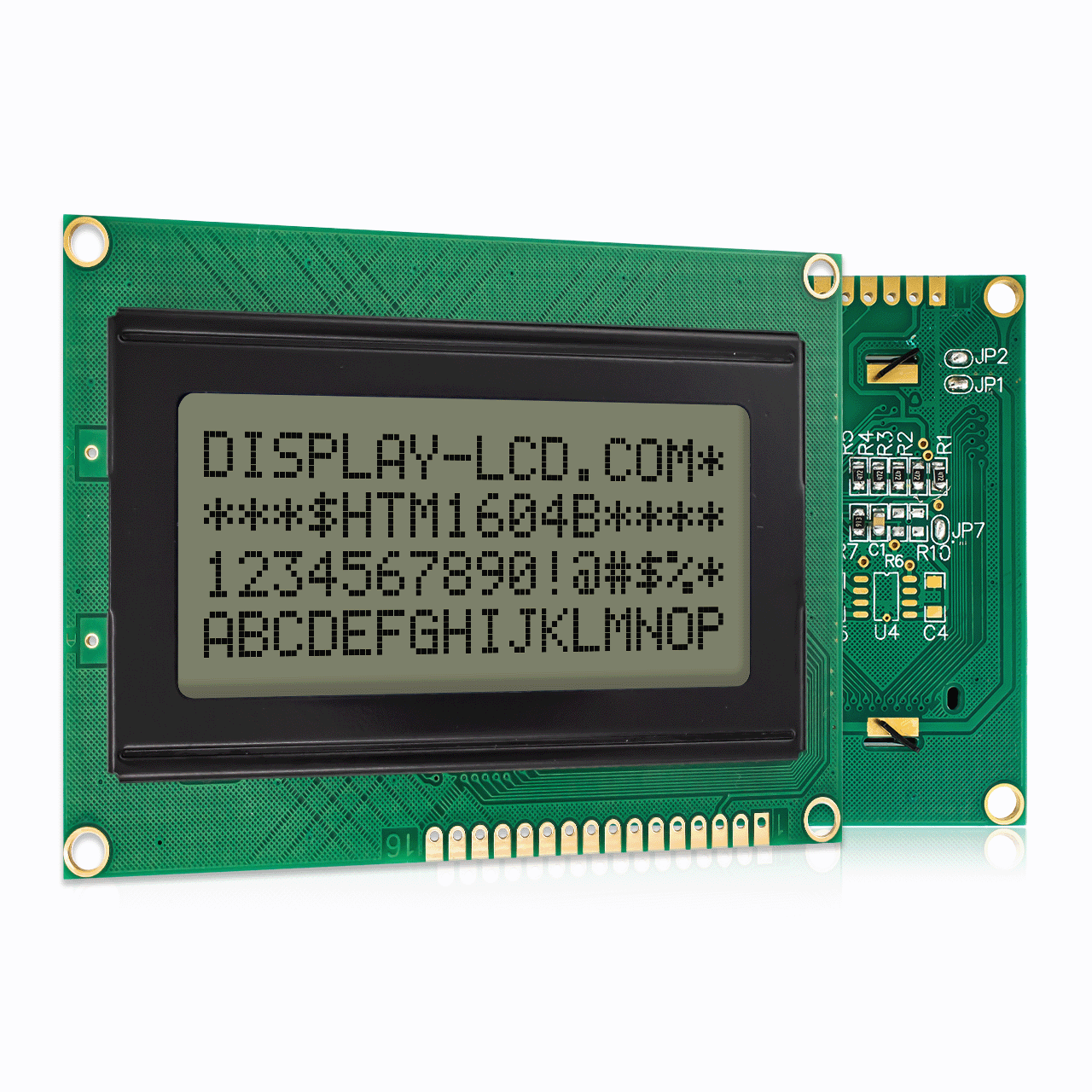 16x4 Character LCD Module | FSTN(+) With Backlight