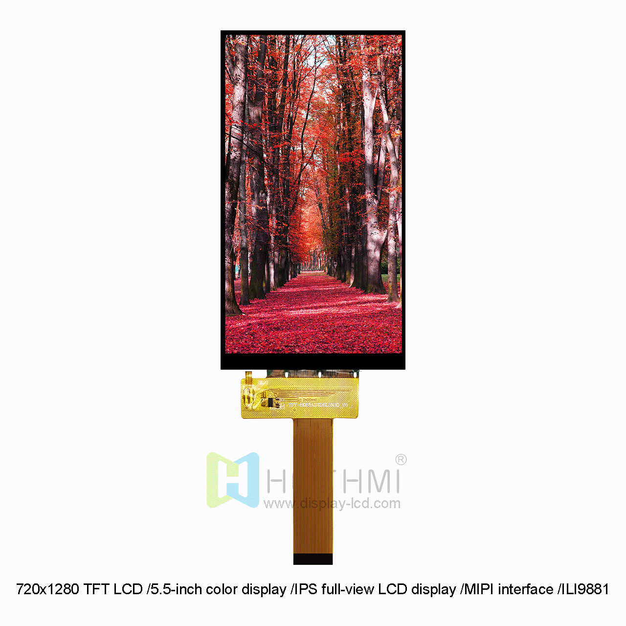 5.5 Inch IPS TFT LCD Display | MIPI Interface With ILI9881 Controller